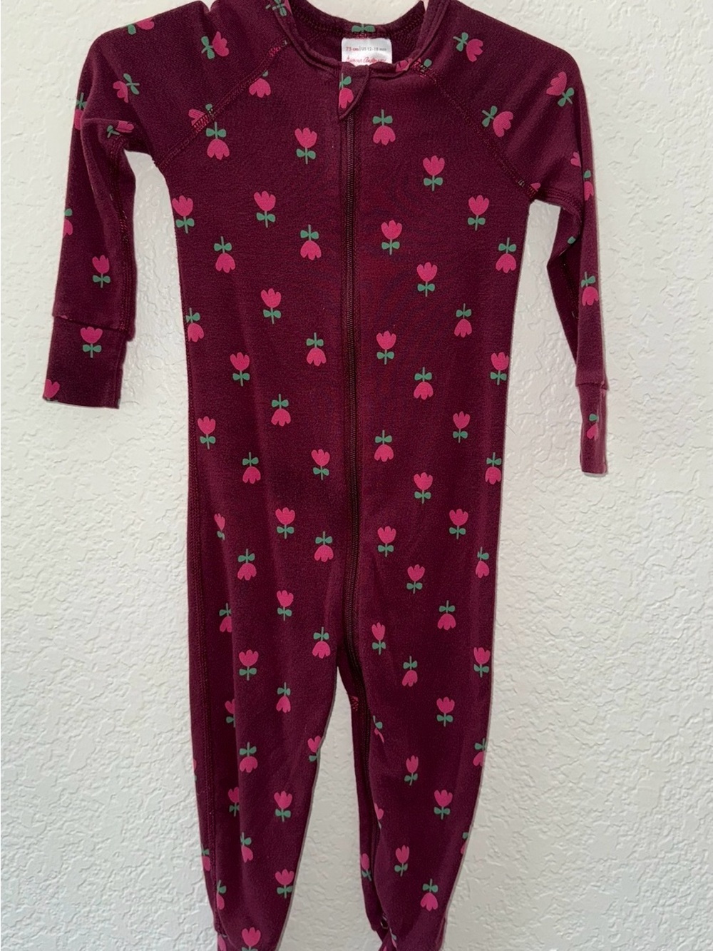 Hanna Andersson Maroon Floral Zip One-Piece
